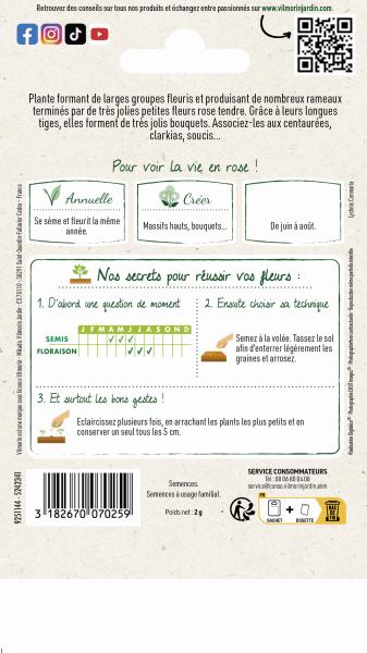 Fleurs - Coquelourde Rose du Ciel - MEDIA_PACKAGING_VERSO